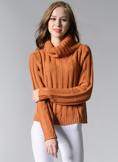 Women's Fashion High Neck Long Sleeve Solid Knitted Pullover Sweater zecalaba.com