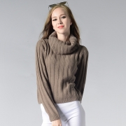 Women's Fashion High Neck Long Sleeve Solid Knitted Pullover Sweater