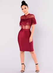 Elegant Lace Net Yarn Splicing Bodycon Solid Color Dress